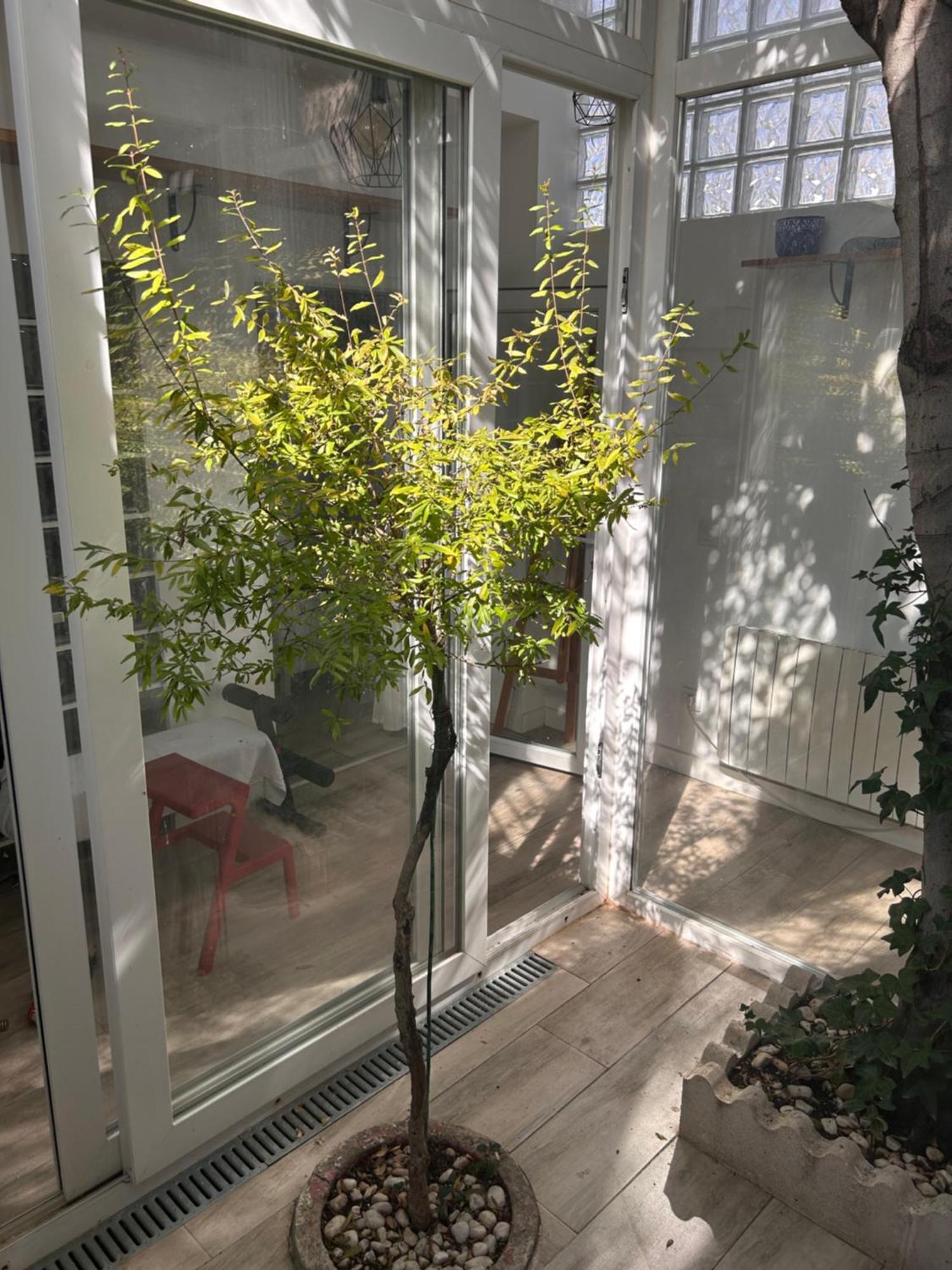Villa Casa Rustica En Madrid Recien Reformada Exterior foto